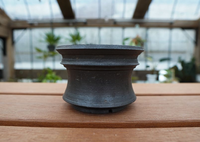 保田修作 pot No.35 | mana's farm:塊根植物・アガベ・ドライガーデン植 保田修作 pot No.35 | mana's farm:塊根植物・アガベ・ドライガーデン植