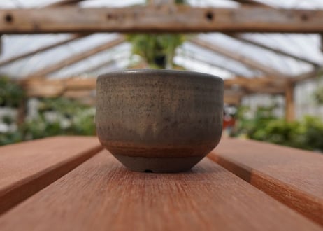 關まどか pot NO.25-2　Ｇ