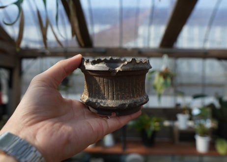 保田修作  pot No.11