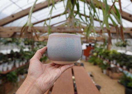 關まどか pot NO.27-4