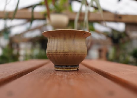 持木祐一pot NO.15