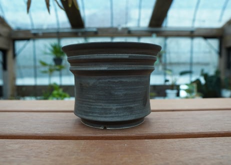 保田修作  pot No.61