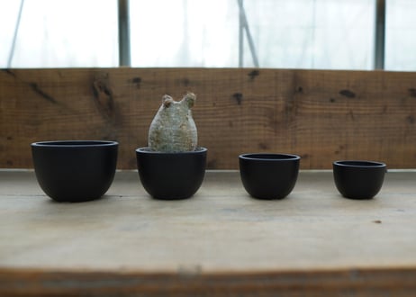 Maceta Bowl Mid