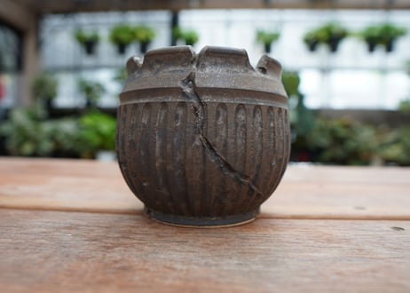 保田修作  pot No.24