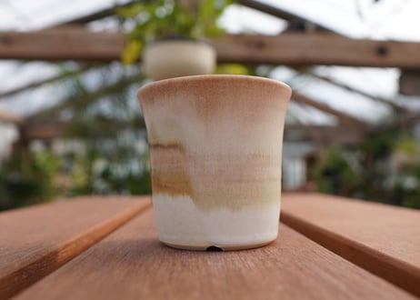 關まどか pot NO.6-10
