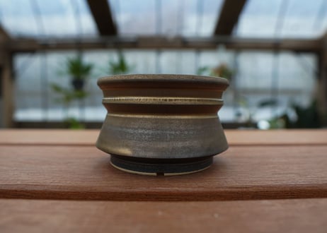 保田修作  pot No.20