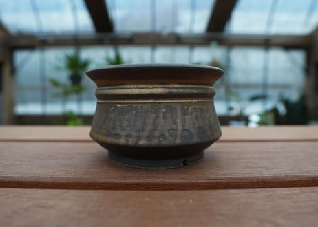保田修作  pot No.31