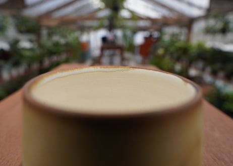 關まどか pot NO.32-2　Ｇ
