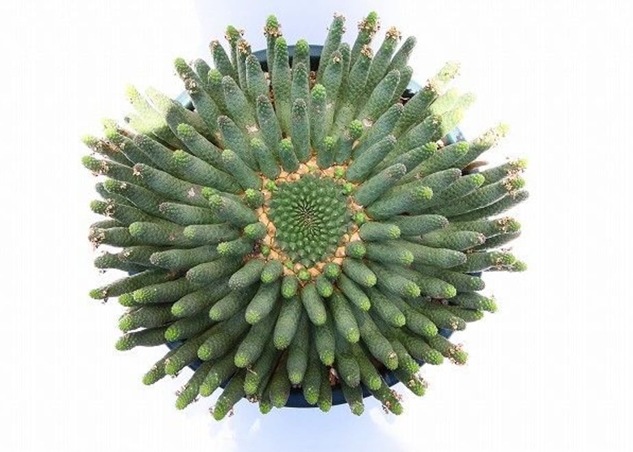 58f5f65e997ee2acd50034ef