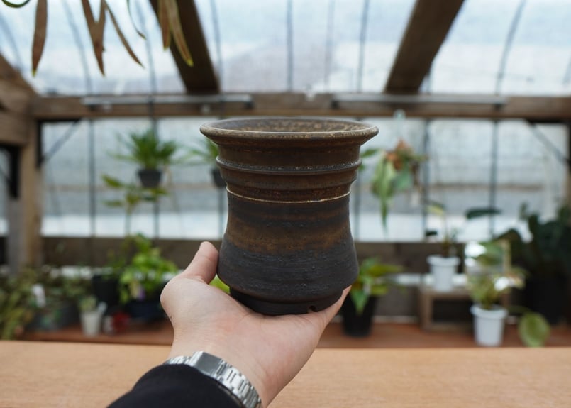 保田修作 pot No.29 | mana's farm:塊根植物・アガベ・ドライガーデン植