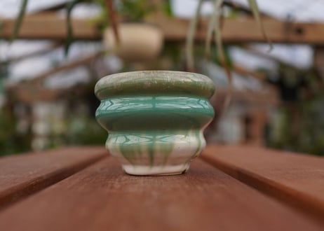 持木祐一pot NO.18