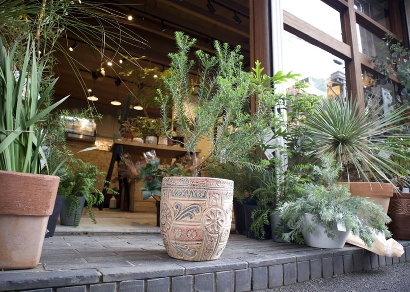 テラコッタ鉢 小 | mana's farm:塊根植物・アガベ・ドライガーデン植物