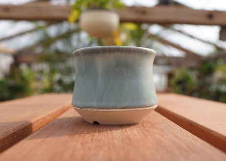 關まどか pot NO.5-3