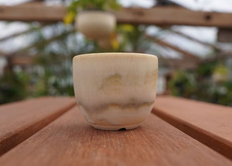 關まどか pot NO.1-5　F