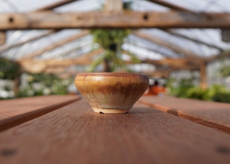 關まどか pot NO.20-1　Ｇ