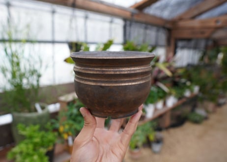 保田修作  pot No.4