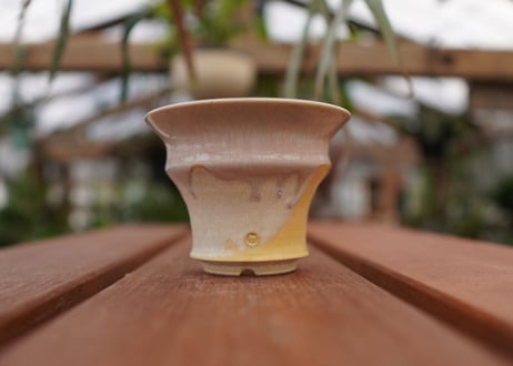 持木祐一pot NO.11