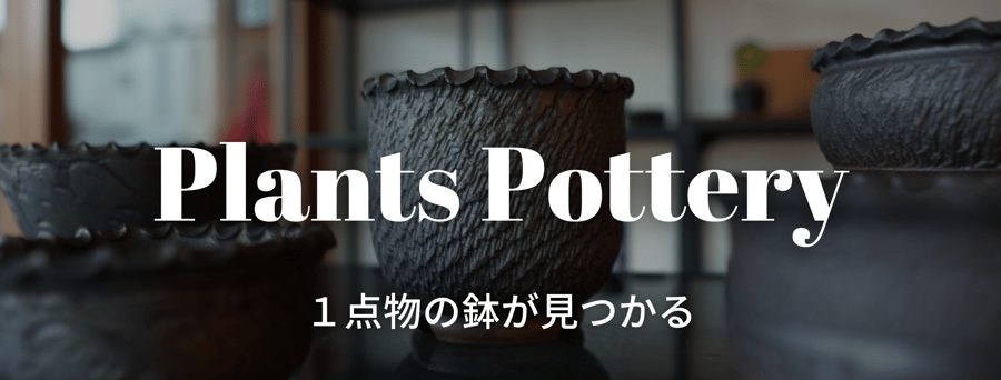 mana's farm:塊根植物・アガベ・ドライガーデン植物販売|マナズファーム