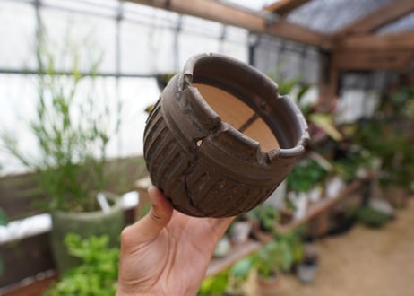 保田修作  pot No.24