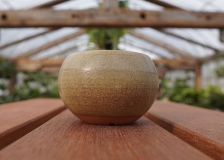 關まどか pot NO.26-1　Ｇ