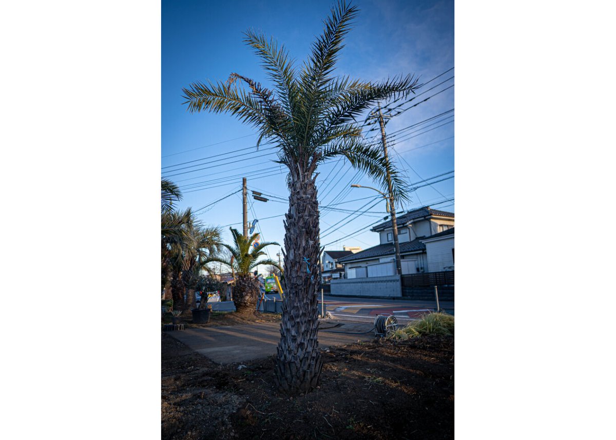 fit=scale-down,w=1200