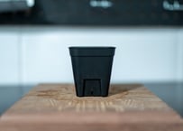 プレステラ７５型