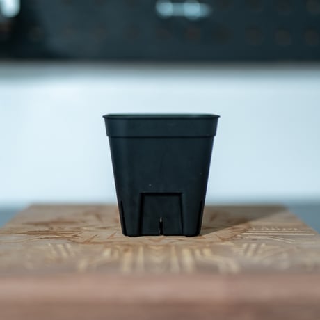 黒ラベル3枚 botanize×1LDK コラボプラ鉢　３個セット 黒ラベル3枚 botanize×1LDK コラボプラ鉢 3個セット Amazon.co