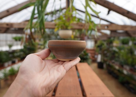 關まどか pot NO.1