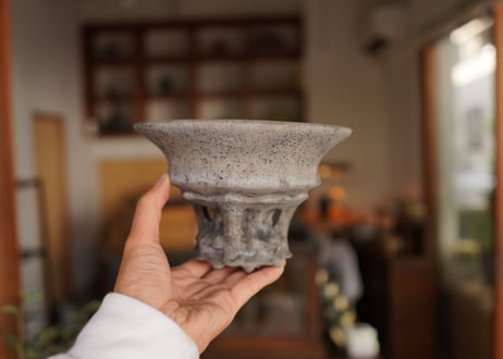 十十 草冠  pot No.5