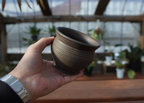 保田修作  pot No.6