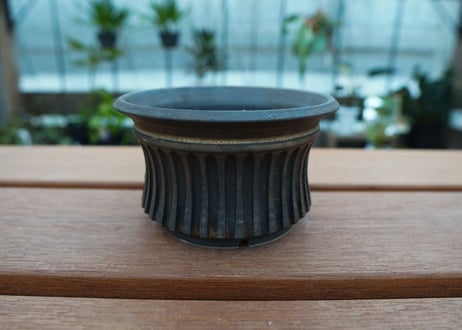 保田修作  pot No.65