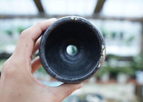 hechicami pot NO.6