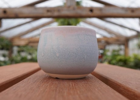 關まどか pot NO.27-4
