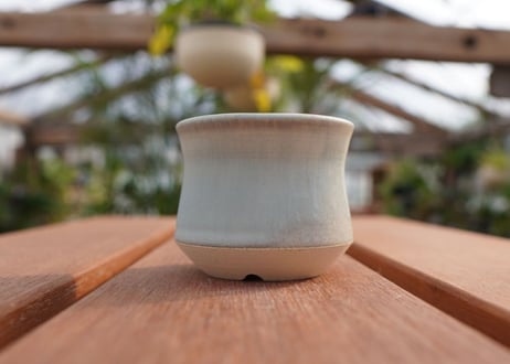 關まどか pot NO.5-8　Ｇ