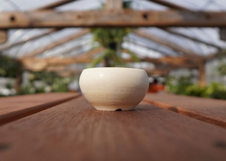 關まどか pot NO.20-2