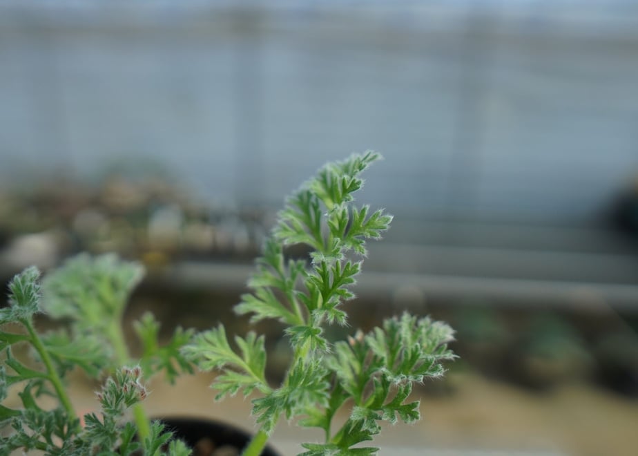 63e6fe9f1c15185d26f11fb5