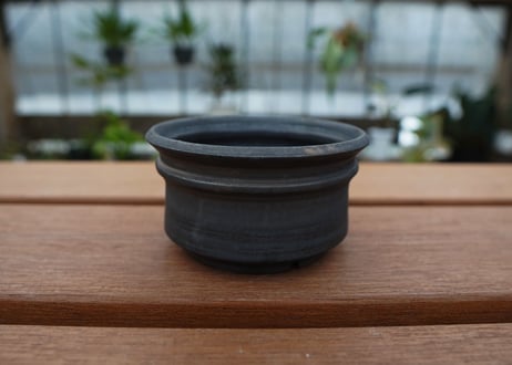 保田修作  pot No.17