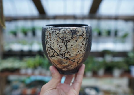 hechicami pot NO.8