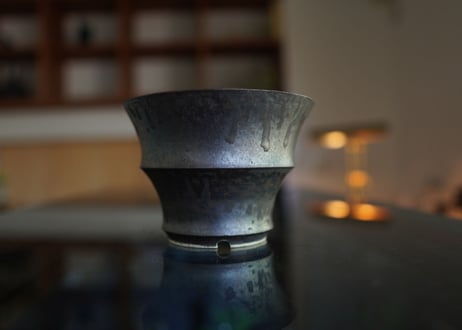 CATEGORY Calvero | mana's farm:塊根植物・アガベ・ドライガーデン