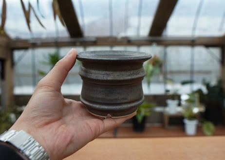 保田修作  pot No.23