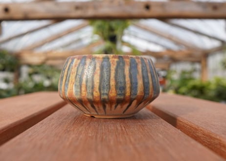關まどか pot NO.23-1 F