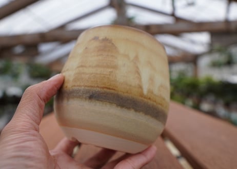 關まどか pot NO.32-2　Ｇ