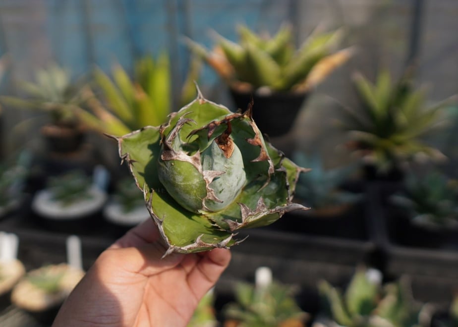 634fb73f4b08394fccb31b14