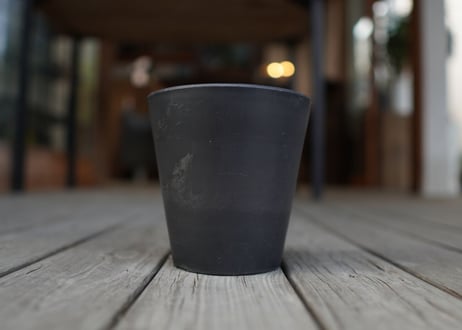 シティルート