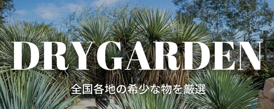 mana's farm:塊根植物・アガベ・ドライガーデン植物販売|マナズファーム