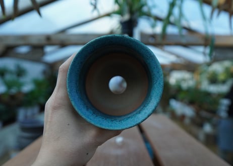 持木祐一 pot  No.62