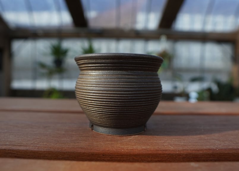 保田修作 pot No.6 | mana's farm:塊根植物・アガベ・ドライガーデン