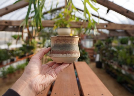 關まどか pot NO.7-9　F