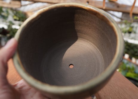 關まどか pot NO.21-1 F