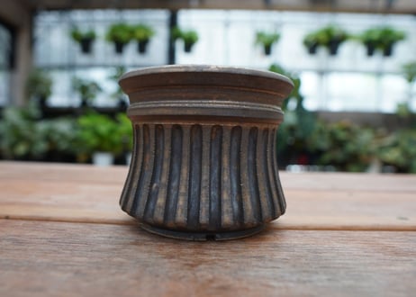 保田修作  pot No.19